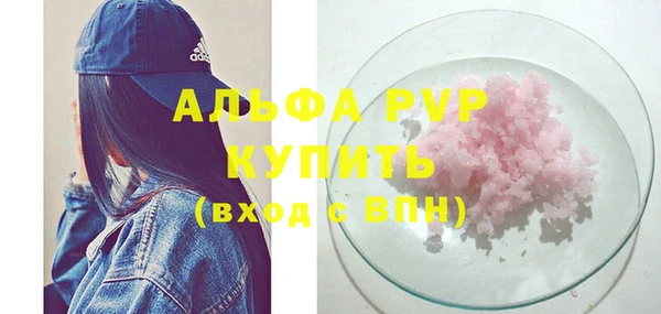шишки Абаза