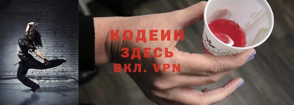 прущий лед Алзамай