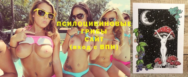 прущий лед Алзамай
