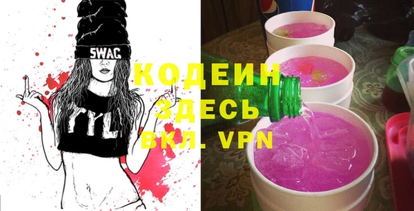 шишки Абаза