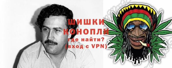 шишки Абаза