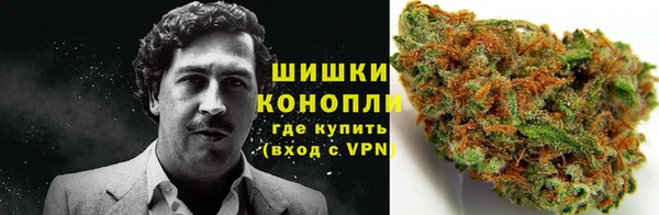 шишки Абаза