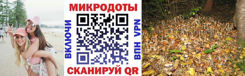 Псилоцибиновые грибы мухоморы  Кадников 